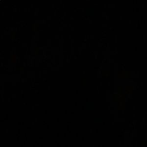 Meet your Posher, Whitney